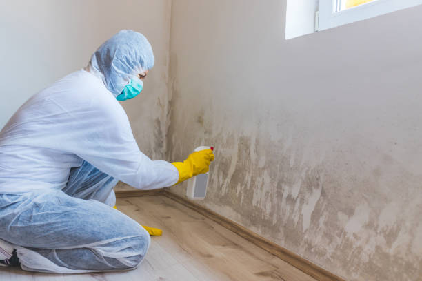 Mold inspector in Thomasville performing thermal imaging