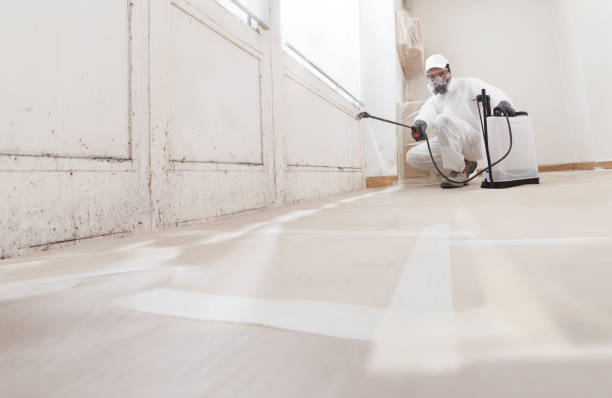 Black mold remediation team in Thomasville